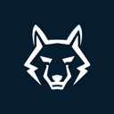 MSP Process logo
