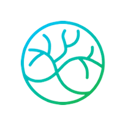 CareConnect logo