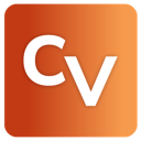 Corporate Visions logo