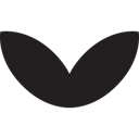 Ziber logo