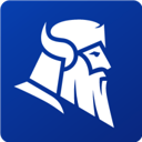 Heimdal Security logo