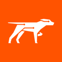 Scout logo
