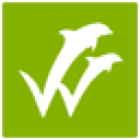 WISEflow logo