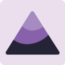 DonorSearch logo